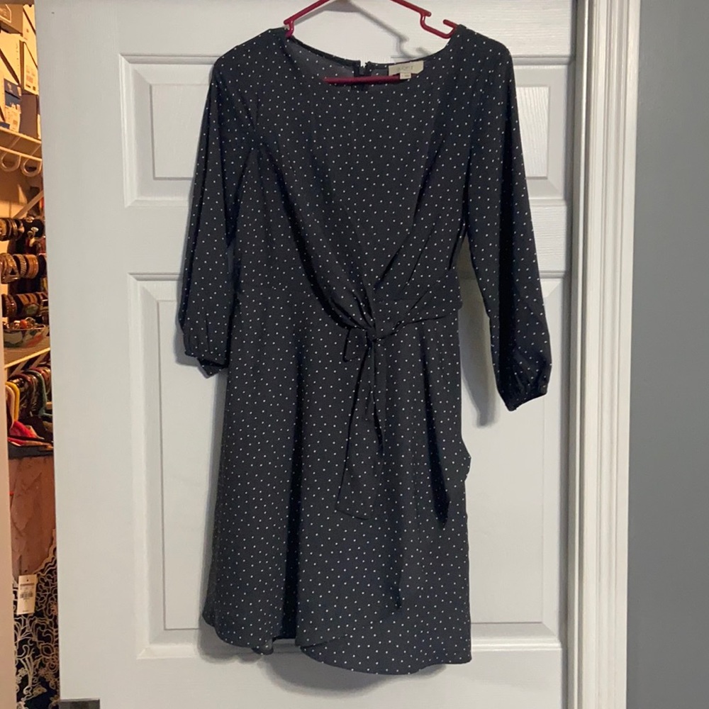 Ann Taylor long sleeve mini